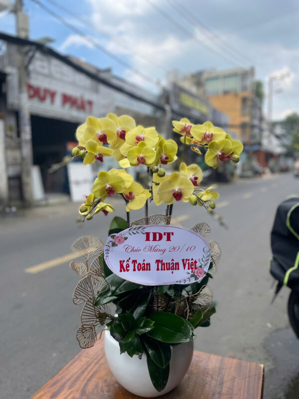 Chậu Lan Hồ Điệp tại shop hoa Quận Hoàn Kiếm Hà Nội
