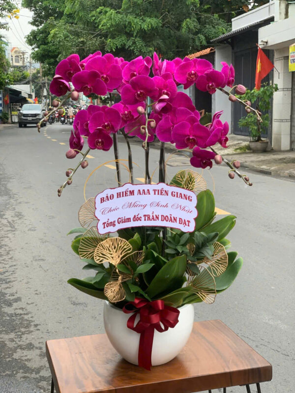 Hoa Lan Hồ Điệp tại shop hoa Quận 6